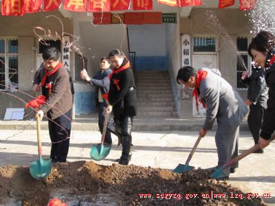 点击图片看大图