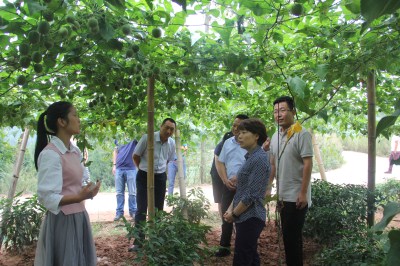 2016091915501707.jpg 三会现代农业园区5_副本.jpg