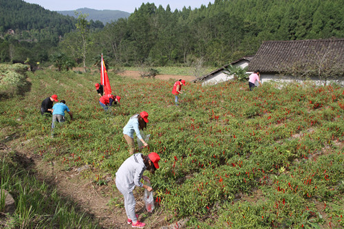 IMG_4680_副本.jpg