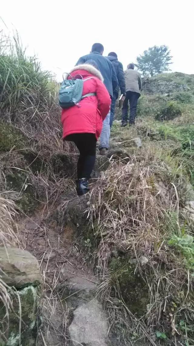 脱贫攻坚 旺苍青年在行动   第一天