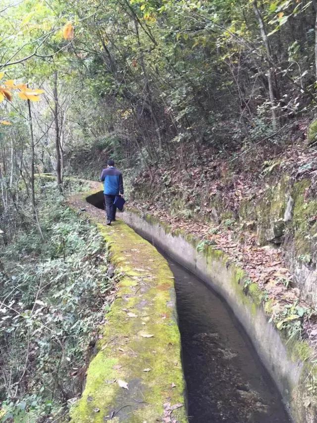 脱贫攻坚 旺苍青年在行动   第一天