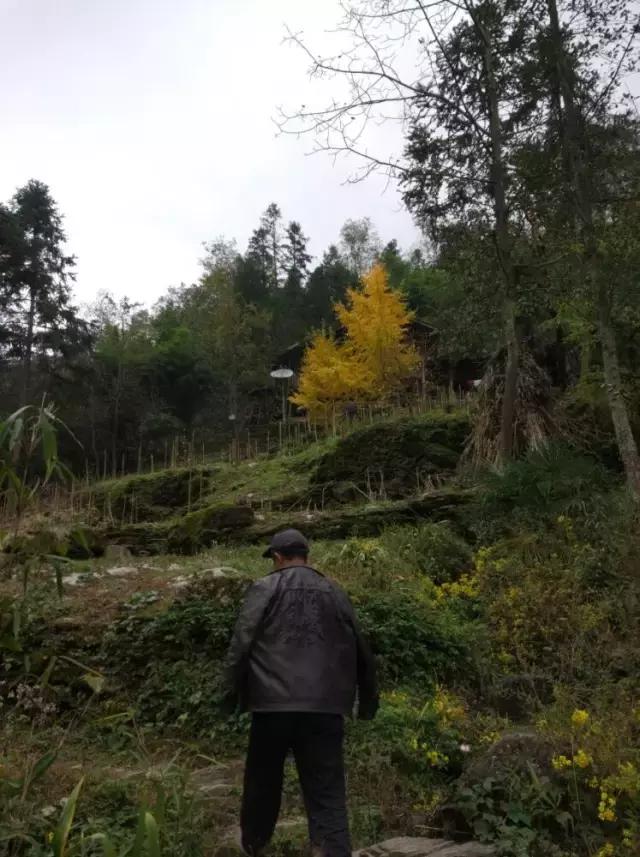 脱贫攻坚 旺苍青年在行动   第一天