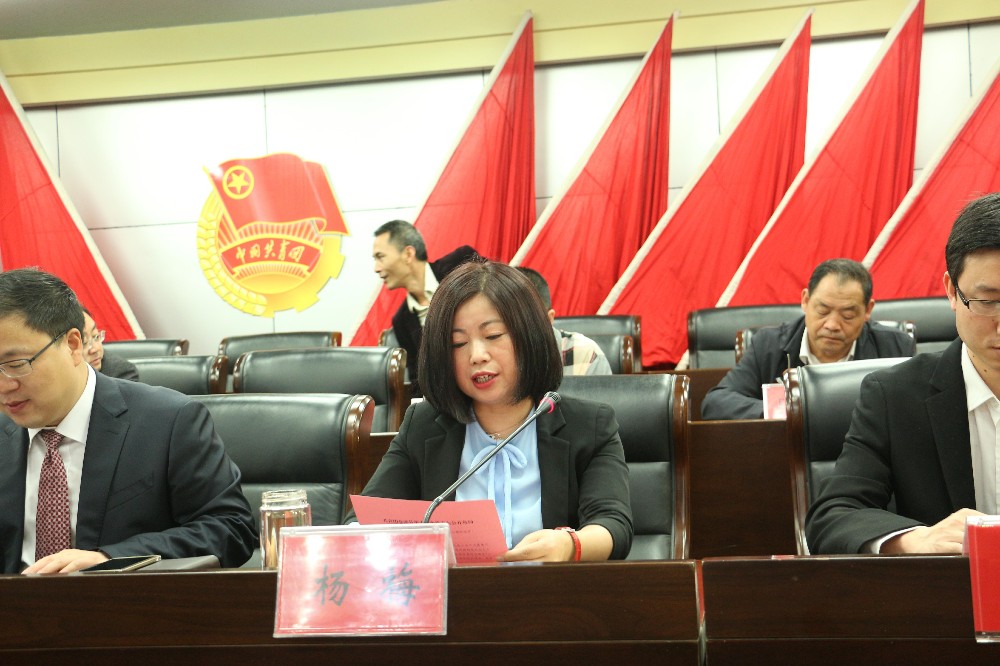 2017042611392003.jpg 杨梅县长讲话_爱奇艺.jpg