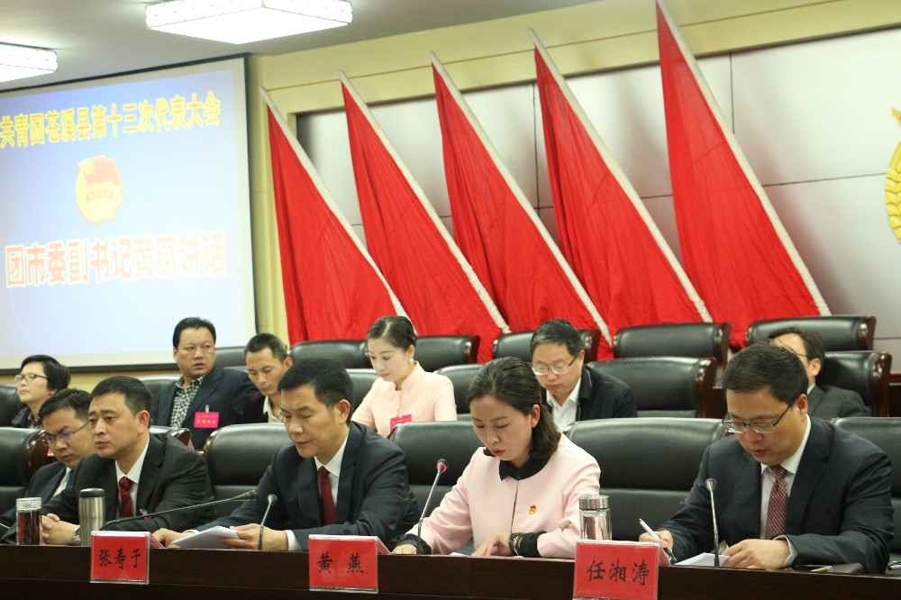 2017042611421707.jpg 黄燕讲话_爱奇艺.jpg