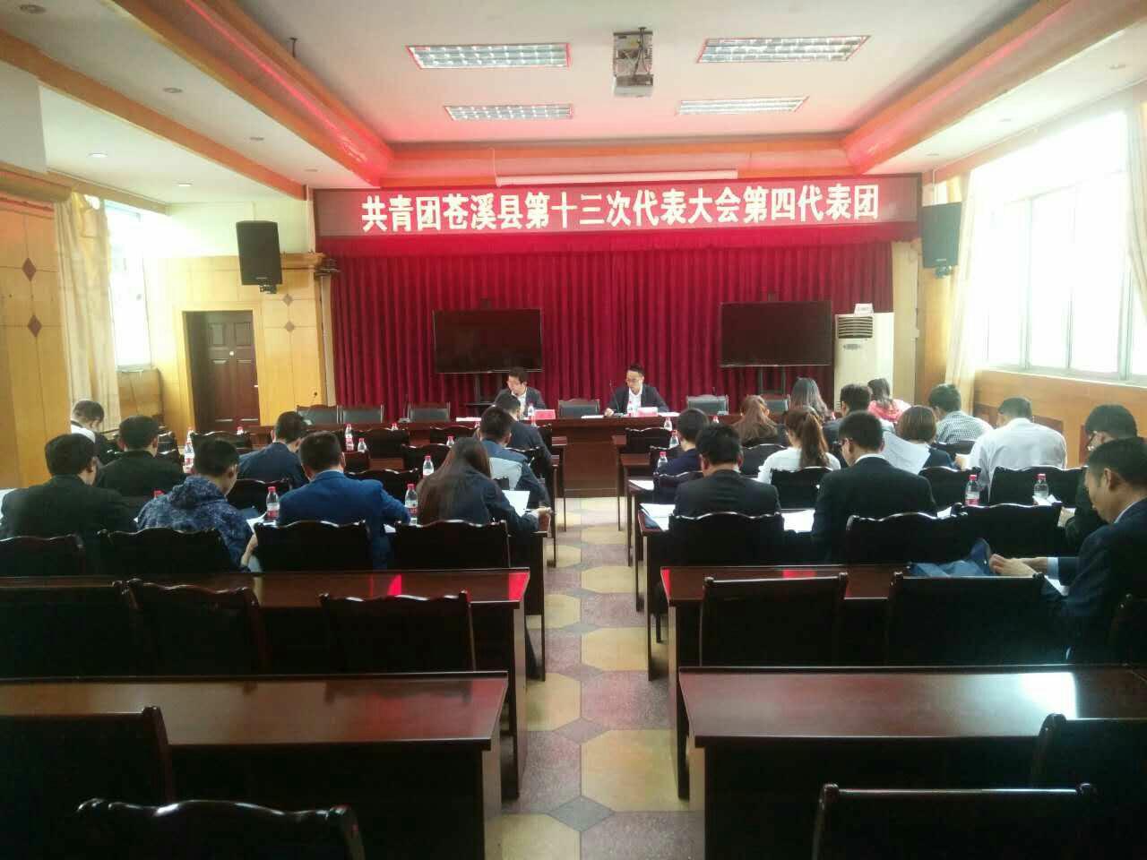 2017042611452101.jpg 第四代表团_爱奇艺.jpg