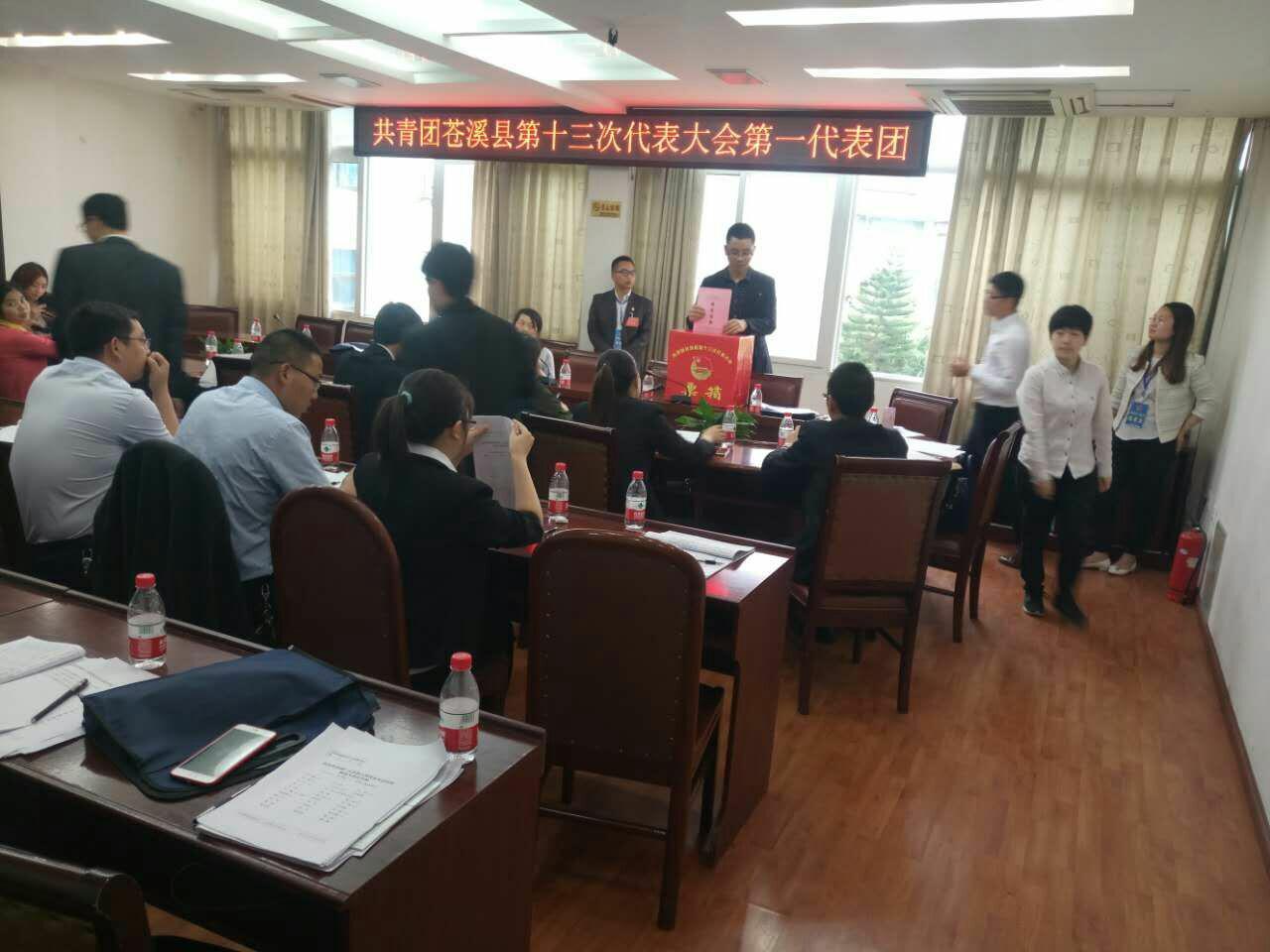 2017042611472305.jpg 代表团投票_爱奇艺.jpg
