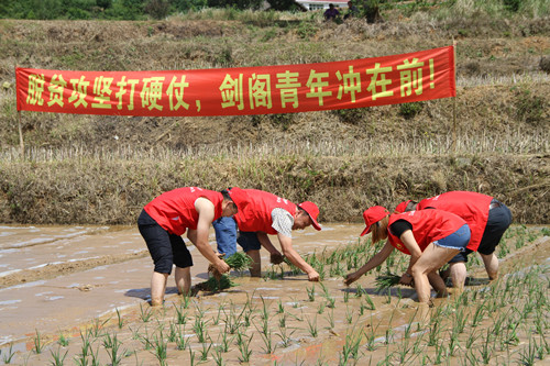 IMG_8692_副本.jpg
