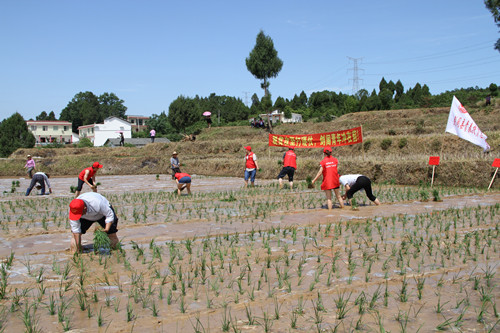 IMG_8690_副本.jpg