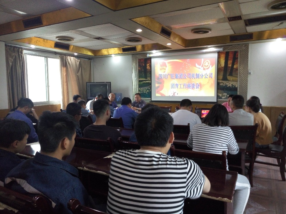 2018051516325506.jpg 机制分公司召开团青工作座谈会.jpg
