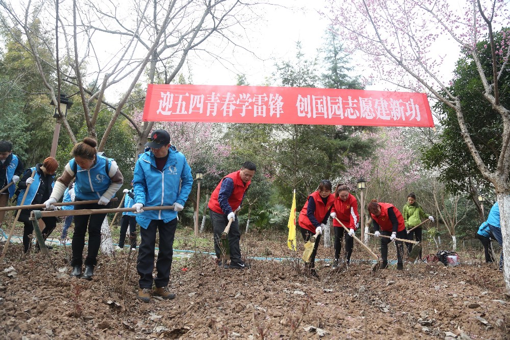 2019030517585901.jpg QQ图片20190305175722.jpg