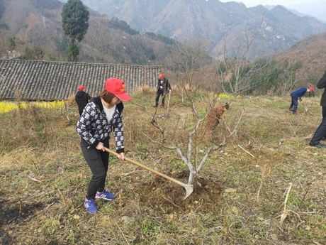 QQ图片20190312160331.jpg