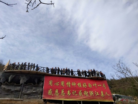 图片5.jpg