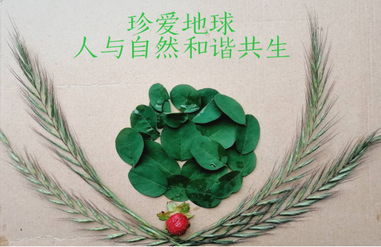 2020042214501307.png image.png