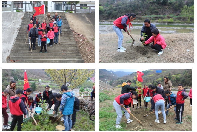 陈家小学.png