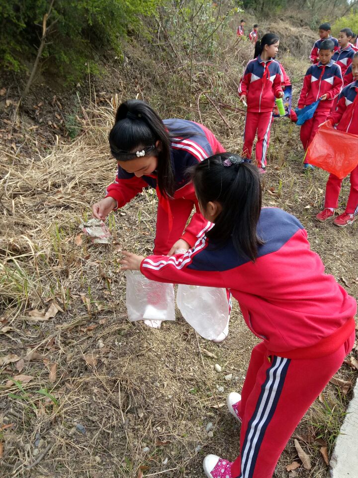 2017040111595502.jpg