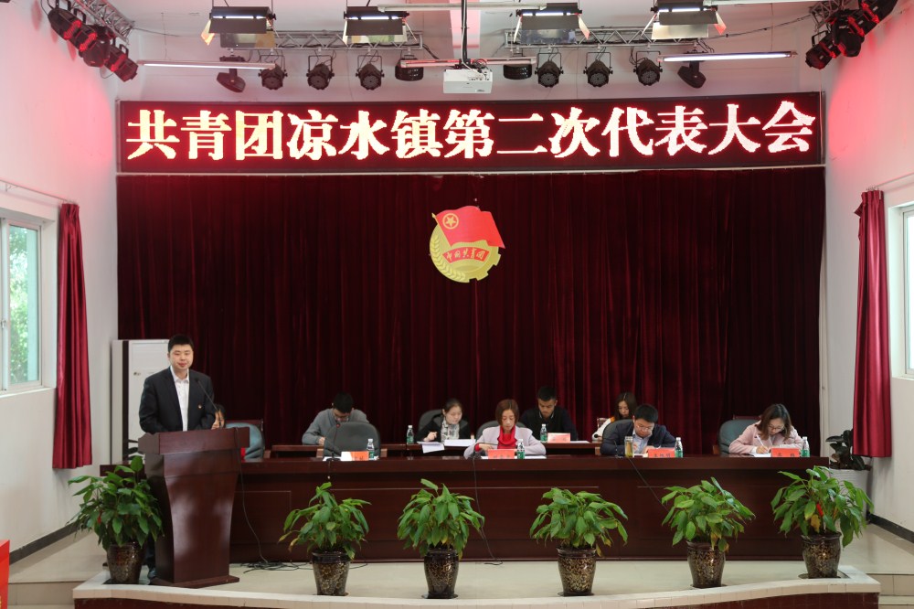 报告.JPG