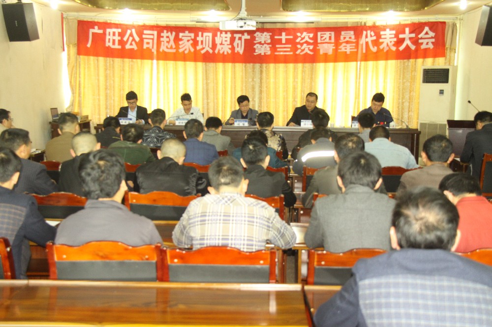 团委换届 001.jpg