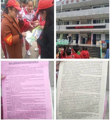 2018110816582504.jpg QQ图片20181108165905.jpg